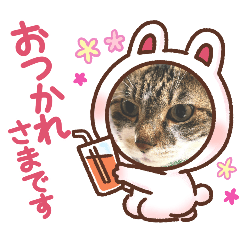 [LINEスタンプ] いつも使える読み聞かせさんと猫スタンプ4