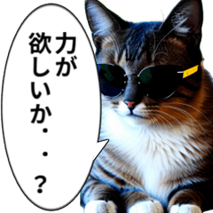 [LINEスタンプ] 調子乗ってるサングラス猫