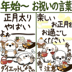 [LINEスタンプ] 【Big】シーズー犬たち 『お祝いの言葉』