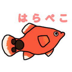 [LINEスタンプ] うちの熱帯魚