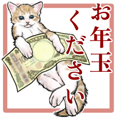 [LINEスタンプ] 意外と使えるリアル猫の年末年始 [再販]