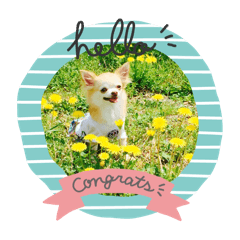 [LINEスタンプ] ラブリーシナモン