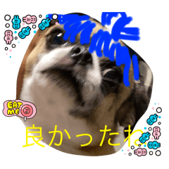 [LINEスタンプ] インサイド・キック