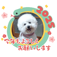 [LINEスタンプ] ビションのMINT♂︎冬version