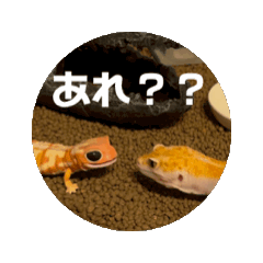 [LINEスタンプ] トカゲのレディたち