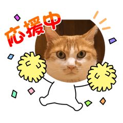 [LINEスタンプ] ちびすけ  スタンプ極