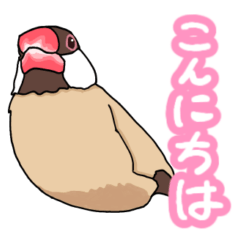 [LINEスタンプ] シナモンぶんちゃんです