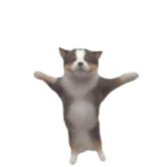 [LINEスタンプ] 面白い犬のスタンプ2