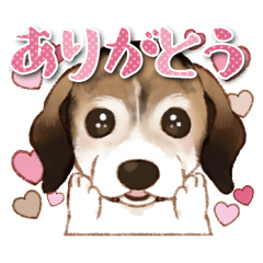 [LINEスタンプ] ビーグル☆レオンのスタンプ