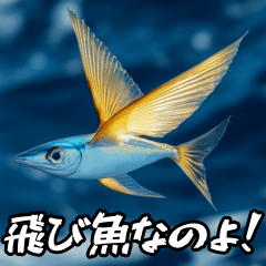 [LINEスタンプ] 飛び魚なのよ！！