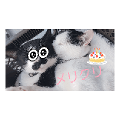 [LINEスタンプ] 新年度ひじおこスタンプ