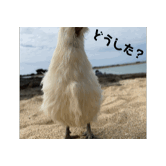 [LINEスタンプ] animal stump no.1の画像（メイン）