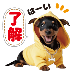 [LINEスタンプ] 1年中かわいい犬♡ミニチュア・ピンシャー