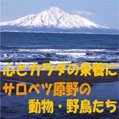 [LINEスタンプ] サロベツ原野のどうぶつ・野鳥②