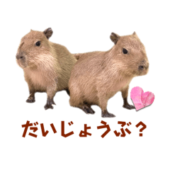 [LINEスタンプ] 【カピバラ】かぴ天スタンプPart4