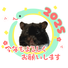 [LINEスタンプ] ハムスター 日常編8