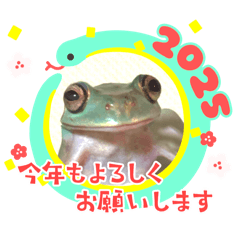 [LINEスタンプ] イエアメガエル 日常編6