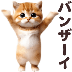 [LINEスタンプ] 踊る！かわいいねこ