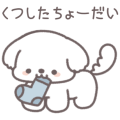 [LINEスタンプ] うちのかわいいマルチーズ