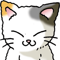 [LINEスタンプ] 猫のスタンプ その13