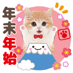 [LINEスタンプ] ず〜っと❤️お正月❤️かわいい猫たち