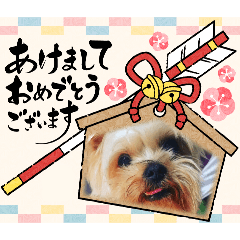 [LINEスタンプ] 正月むさし