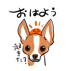 [LINEスタンプ] 178.canvas ジャクチワ くん