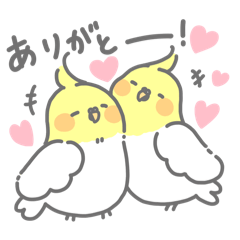 [LINEスタンプ] オカメインコの日常スタンプ基本編