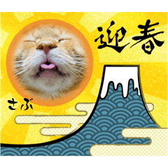 [LINEスタンプ] さぶちゃん♡とちんぺい♡