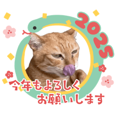 [LINEスタンプ] ちゃーくんからママへ2