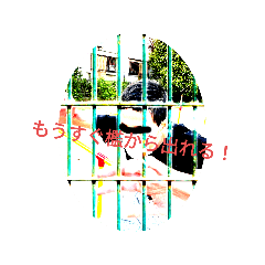 [LINEスタンプ] 新年りじゃ猿