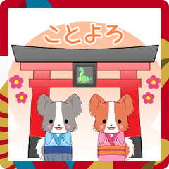 [LINEスタンプ] ちびパピヨン2025【あけおめ】