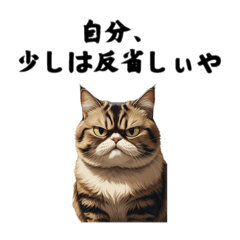 [LINEスタンプ] 京都弁の猫の説教