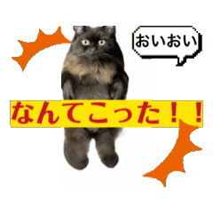 [LINEスタンプ] 黒猫 ルナ院長160にゃんめ