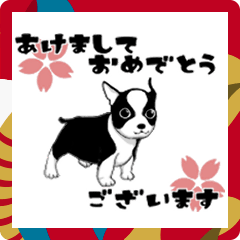 [LINEスタンプ] Boston terrierのお正月2025 -01-