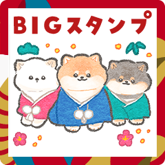 [LINEスタンプ] 柴犬さんのBIGあけおめスタンプ2025