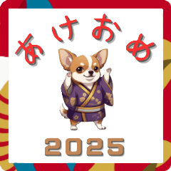 [LINEスタンプ] チワワ[2025あけおめ]年賀状・迎春・賀正