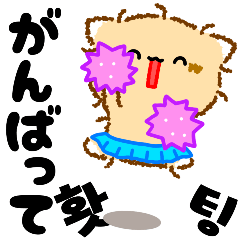 [LINEスタンプ] 愛らしい猫のニャー（日本語、韓国語）