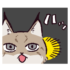 [LINEスタンプ] ボブキャットです