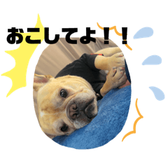 [LINEスタンプ] 私のペットズラの画像（メイン）