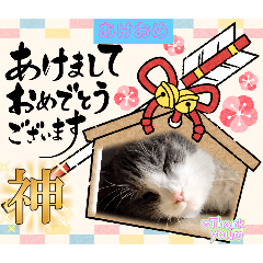[LINEスタンプ] あーちゃんの癒されるスタンプニャ fetchpriority=high