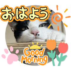 [LINEスタンプ] いのちのたすき その2