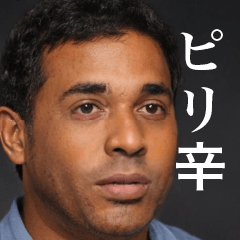 [LINEスタンプ] 存在しないインド人 中辛