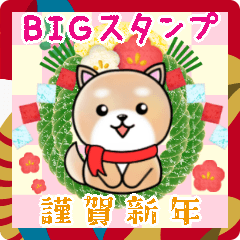 [LINEスタンプ] BIGかわいい♥柴犬日和の年末年始お正月14