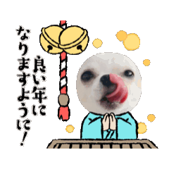 [LINEスタンプ] チコちゃんお正月スタンプ