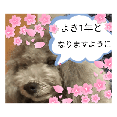 [LINEスタンプ] かわいい クリス シェ