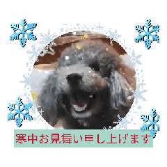 [LINEスタンプ] 毎日かわいい クリス シェ