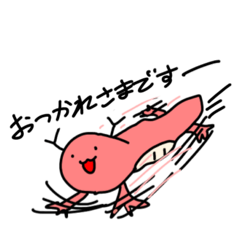 [LINEスタンプ] 激走メキシコサラマンダー