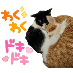 [LINEスタンプ] コンぽたスタンプその1の画像（メイン）