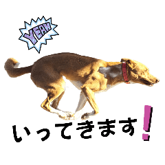 [LINEスタンプ] mofulab2